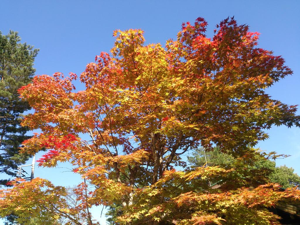 Runesu Karuizawa Kita-karuisawa Zewnętrze zdjęcie